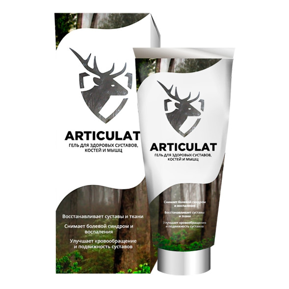 Articulat в Волгограде