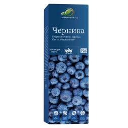 Мини-деревья Черника