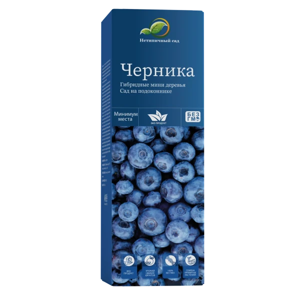 Мини-деревья Черника в Ижевске