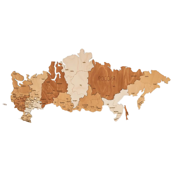 Карта России в Воронеже