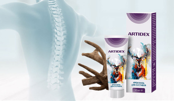Artidex (Артидекс) в Калининграде
