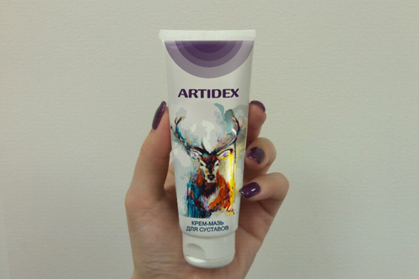 Artidex (Артидекс) в Калининграде