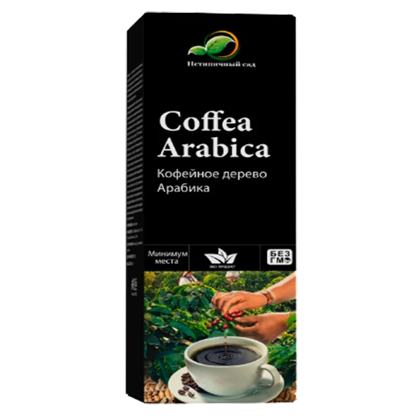 Мини-деревья Coffea Arabica в Ижевске
