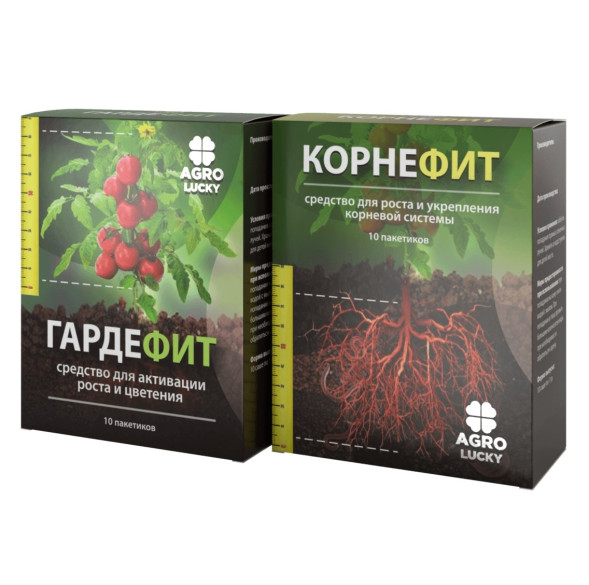 Корнефит и Гардефит в Чебоксарах