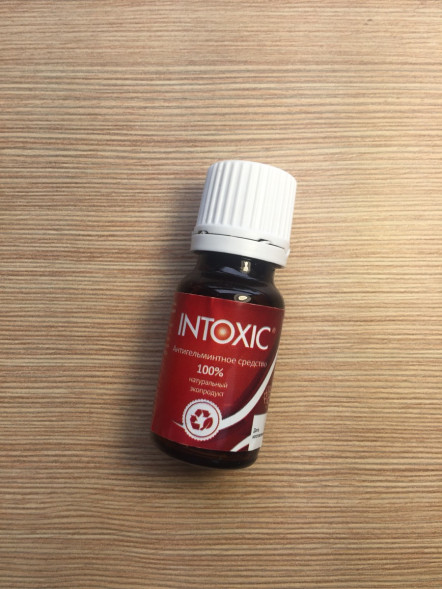 Intoxic (Интоксик) в Костроме