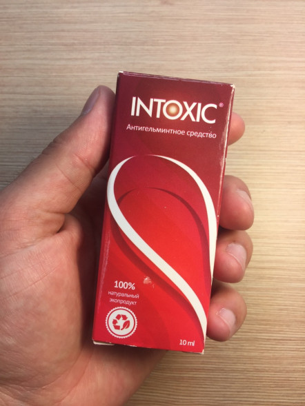 Intoxic (Интоксик) в Костроме