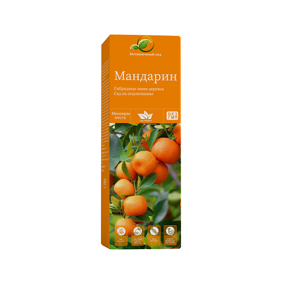 Мини-деревья Мандарин в Ростове-на-Дону