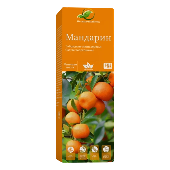 Мини-деревья Мандарин в Ижевске