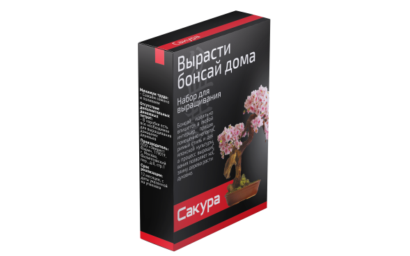 Набор для выращивания Бонсай в Казани