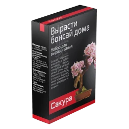 Набор для выращивания Бонсай