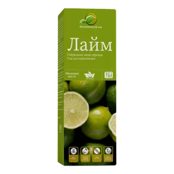 Мини-деревья Лайм