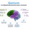 Гениум (Genium) в Омске 2