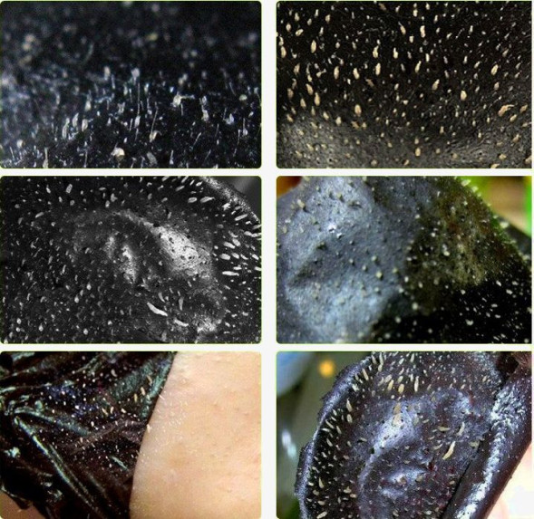 Black Mask (Черная Маска) в Перми