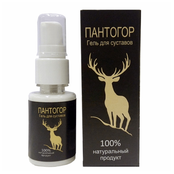 Пантогор в Костроме