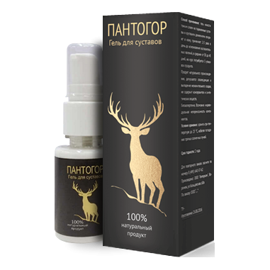 Пантогор в Костроме