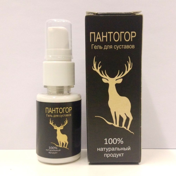 Пантогор в Костроме