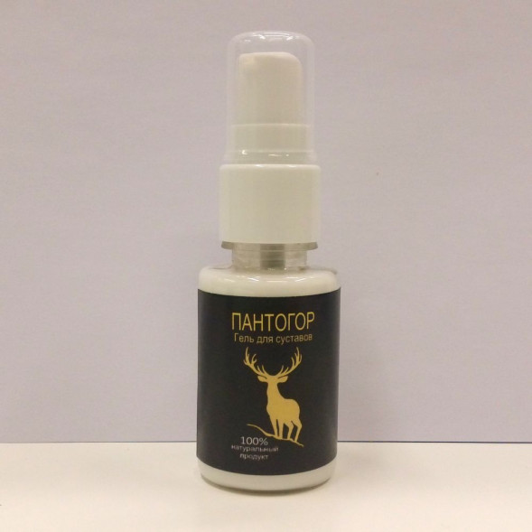 Пантогор в Костроме