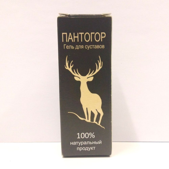 Пантогор в Костроме