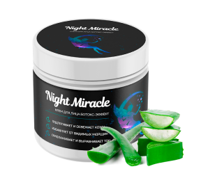 Night Miracle в Вологде