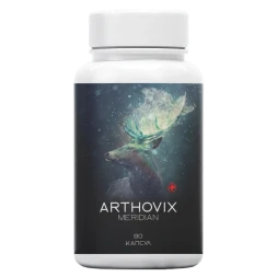 Arthovix Meridian