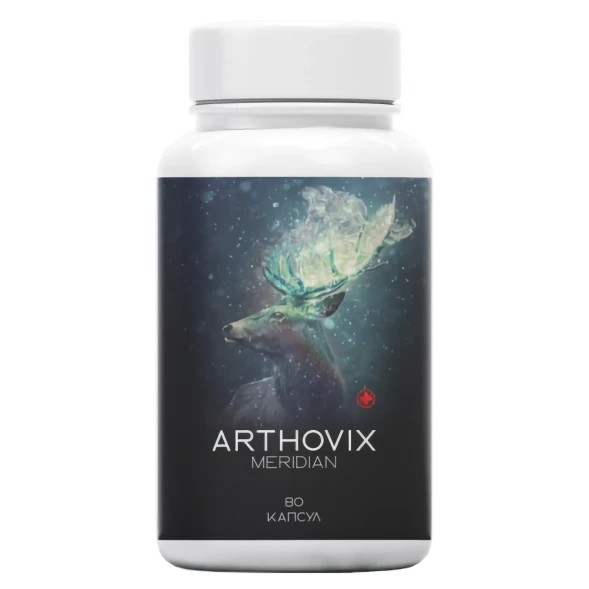 Arthovix Meridian в Воронеже