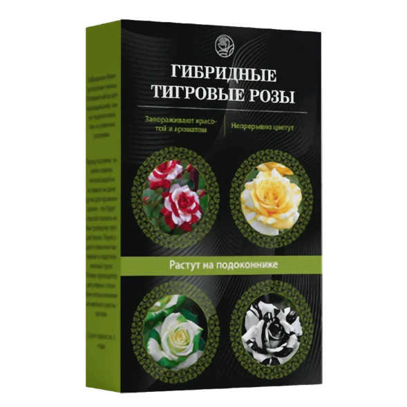 Тигровые розы в Ижевске