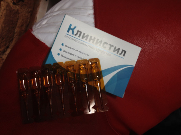 Клинистил в Тольятти