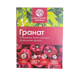 Мини-деревья Гранат