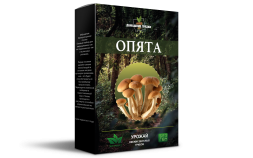 Домашняя грибница Опята