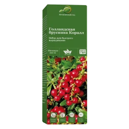 Набор для выращивания Брусники Коралл