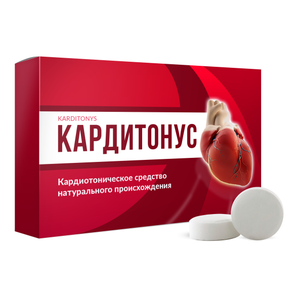 Кардитонус (Karditonys) в Нижнем Новгороде