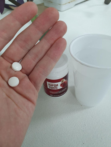 Кардитонус (Karditonys) в Нижнем Новгороде