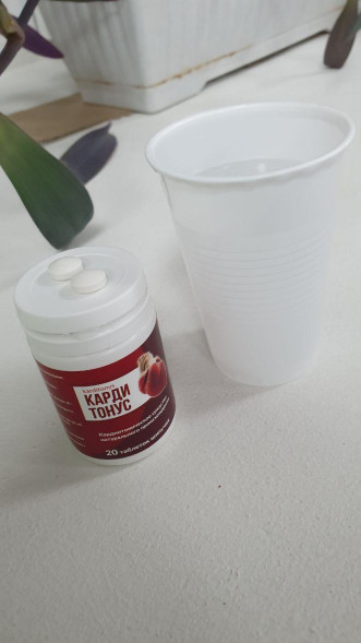 Кардитонус (Karditonys) в Нижнем Новгороде