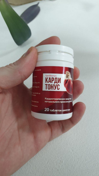 Кардитонус (Karditonys) в Нижнем Новгороде