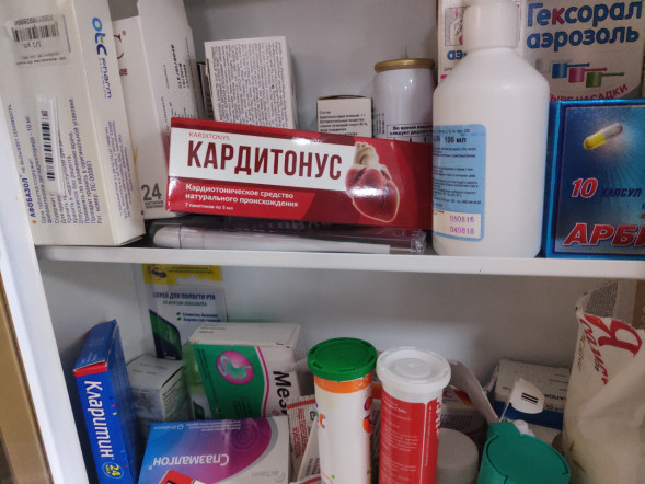 Кардитонус (Karditonys) в Нижнем Новгороде