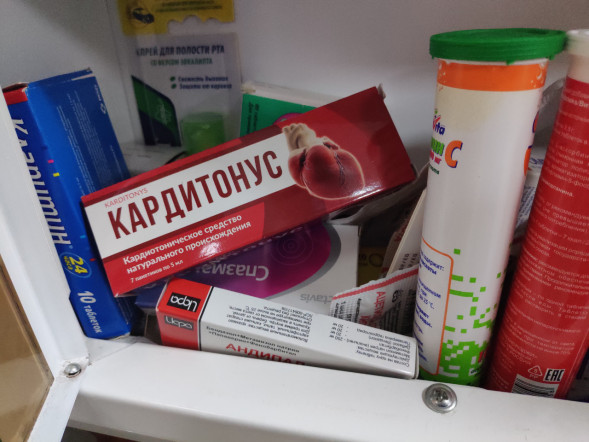 Кардитонус (Karditonys) в Нижнем Новгороде