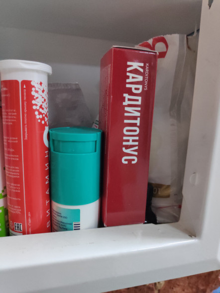 Кардитонус (Karditonys) в Нижнем Новгороде