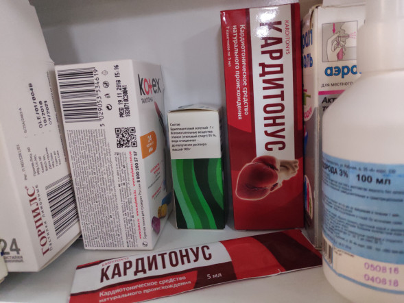 Кардитонус (Karditonys) в Нижнем Новгороде