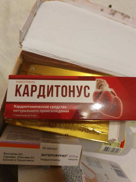 Кардитонус (Karditonys) в Нижнем Новгороде