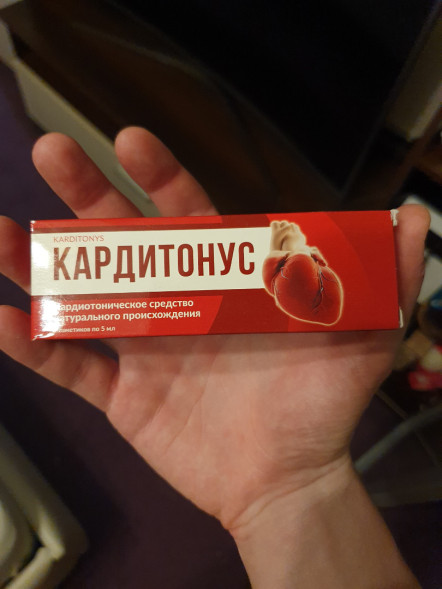 Кардитонус (Karditonys) в Нижнем Новгороде