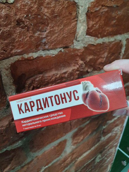 Кардитонус (Karditonys) в Нижнем Новгороде