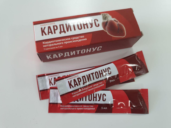 Кардитонус (Karditonys) в Нижнем Новгороде