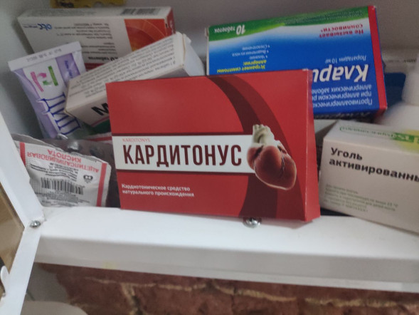 Кардитонус (Karditonys) в Нижнем Новгороде