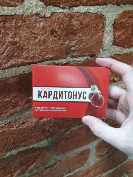 Кардитонус (Karditonys) в Нижнем Новгороде