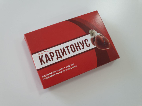 Кардитонус (Karditonys) в Нижнем Новгороде