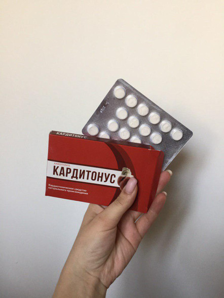 Кардитонус (Karditonys) в Нижнем Новгороде