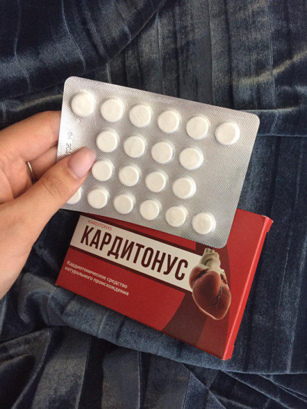 Кардитонус (Karditonys) в Нижнем Новгороде
