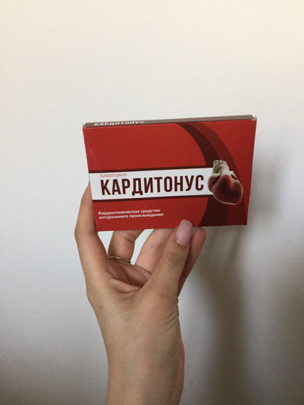 Кардитонус (Karditonys) в Нижнем Новгороде