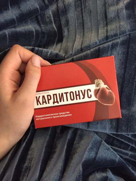 Кардитонус (Karditonys) в Нижнем Новгороде