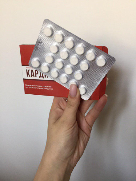 Кардитонус (Karditonys) в Нижнем Новгороде